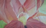 Iris oil painting by navdeep Kular