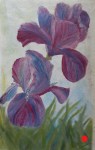 Purple Irises by Navdeep Kular