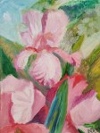 Pink Irises oil painting